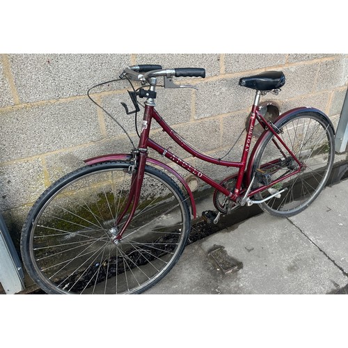 99G - Ladies apollo vintage country bike