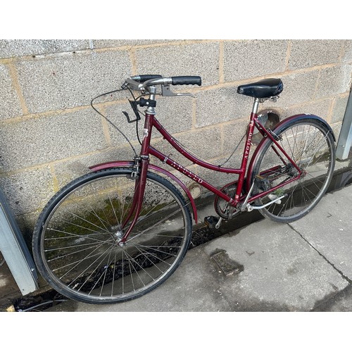 99G - Ladies apollo vintage country bike