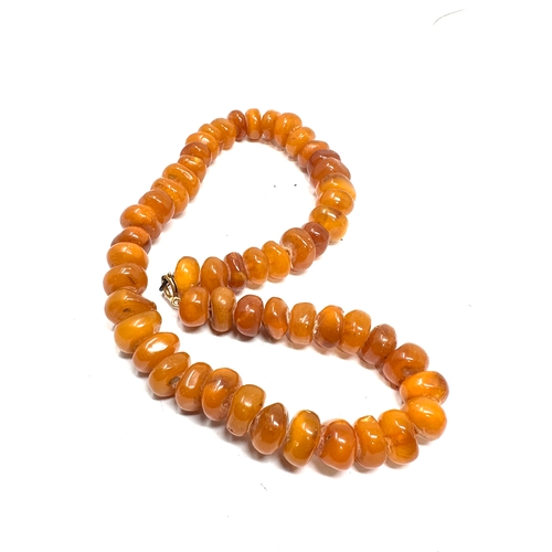 97 - Egg yolk amber bead necklace weight 65g