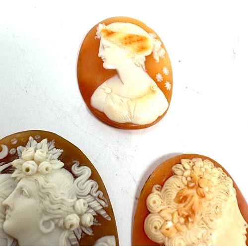 349 - 3 antique cameo shell brooch inserts largest measures approx 4.5cm by 3.5cm