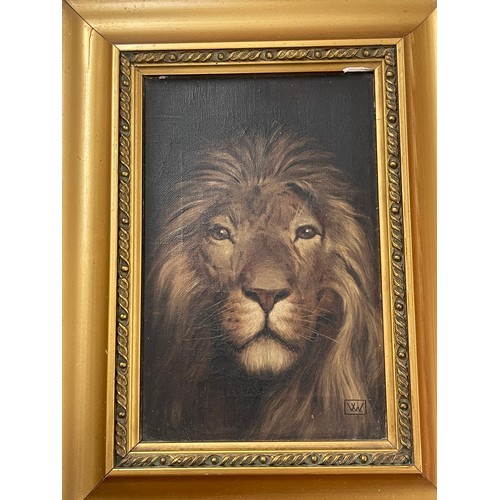 103 - Victorian oil on canvas depicting Lion, Artist VW, approximate overall measurements: