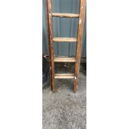 100F - Set of Wooden ladders