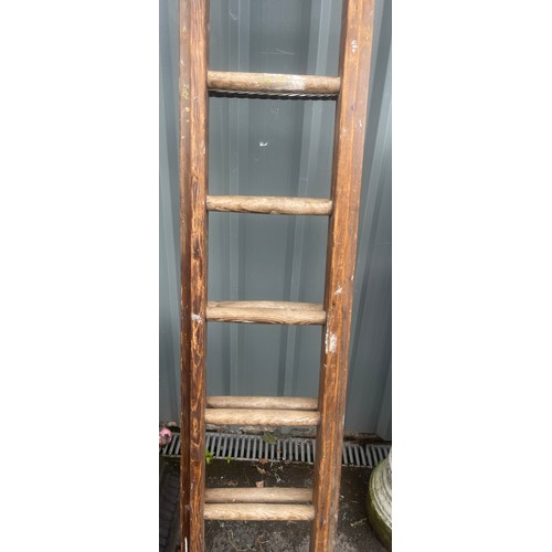 100F - Set of Wooden ladders