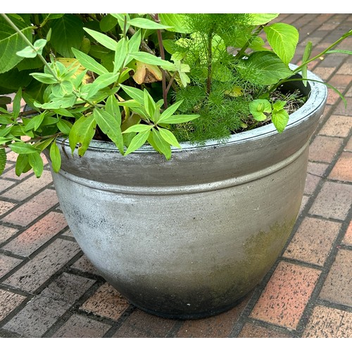 9 - Plastic planter Height 17 inches, Diameter 24 inches