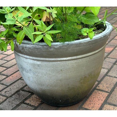 9 - Plastic planter Height 17 inches, Diameter 24 inches