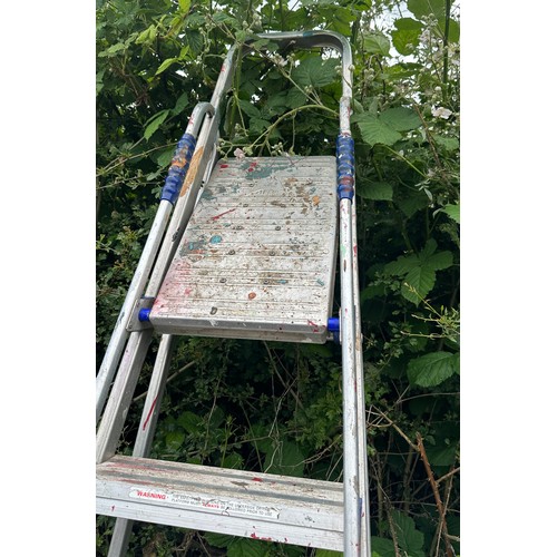78 - Two sets of  ladders