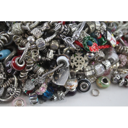 228 - 2.1kg assorted fashion charms and bracelets