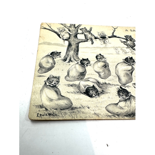 434 - 1904 louis wain a sack race postcard