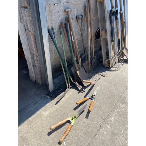 100M - Large selection of assorted garden tools includes forks, spades etc