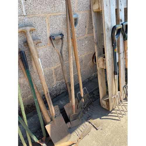 100M - Large selection of assorted garden tools includes forks, spades etc