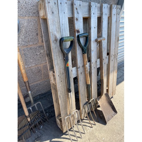 100M - Large selection of assorted garden tools includes forks, spades etc