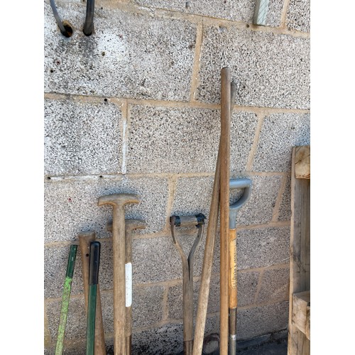 100M - Large selection of assorted garden tools includes forks, spades etc