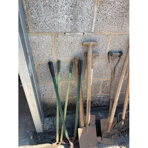 100M - Large selection of assorted garden tools includes forks, spades etc