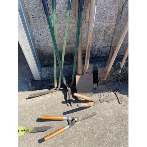 100M - Large selection of assorted garden tools includes forks, spades etc