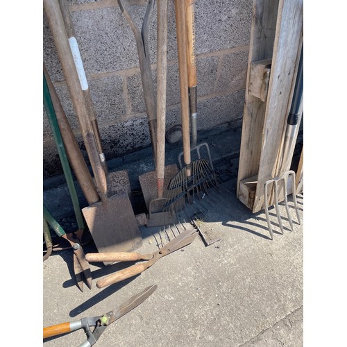 100M - Large selection of assorted garden tools includes forks, spades etc