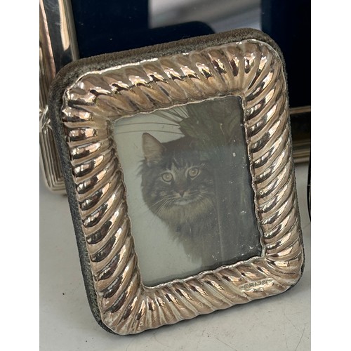 555 - 3 Hallmarked Silver Photo Frames