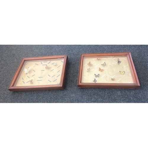 22 - Two cased display cases with Butterflies largest measures approx 26 inches wide and 21 tall