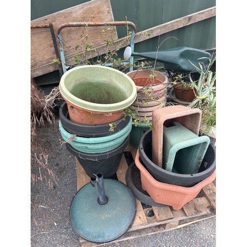 101B - Large selection of assorted outdoor planters includes plastic, terracotta etc