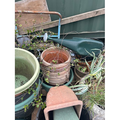 101B - Large selection of assorted outdoor planters includes plastic, terracotta etc