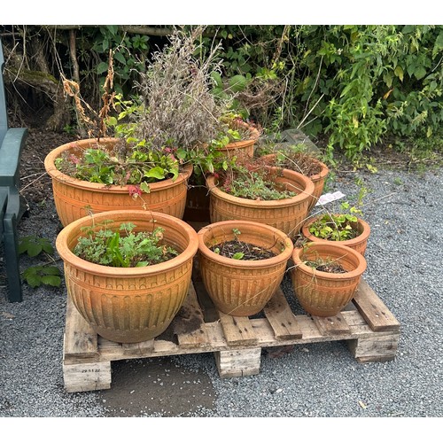 100Q - Selection of 8 matching terracotta plant pots largest measures approx 13 inches tall by 19 diameter