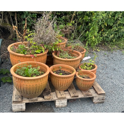 100Q - Selection of 8 matching terracotta plant pots largest measures approx 13 inches tall by 19 diameter