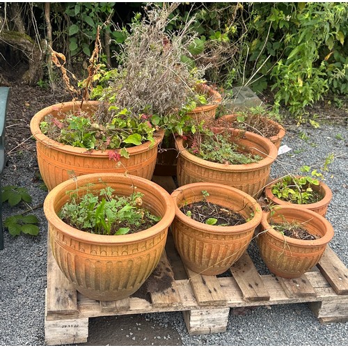 100Q - Selection of 8 matching terracotta plant pots largest measures approx 13 inches tall by 19 diameter