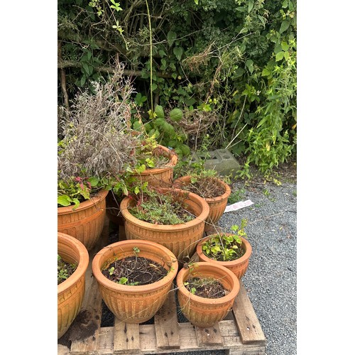 100Q - Selection of 8 matching terracotta plant pots largest measures approx 13 inches tall by 19 diameter