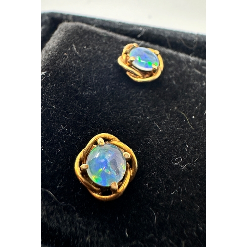 127 - 9ct gold Australian opal earrings