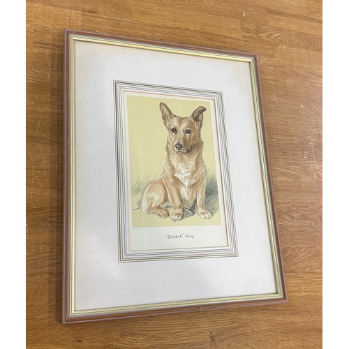 56 - Framed print of a 'Dookie' corgi dog by Lucy Dawson 1939 measures approx 17 inches tall by 13 wide