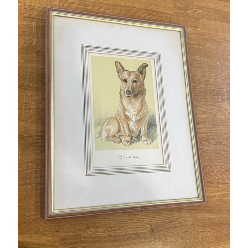 56 - Framed print of a 'Dookie' corgi dog by Lucy Dawson 1939 measures approx 17 inches tall by 13 wide