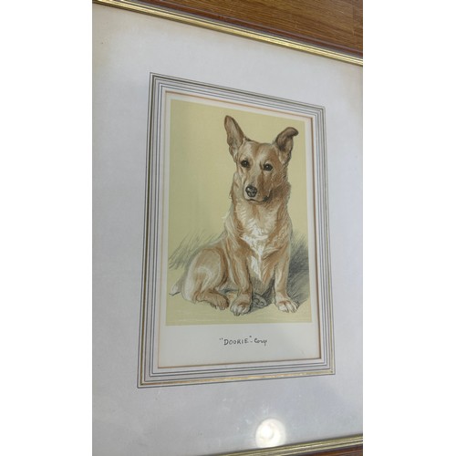 56 - Framed print of a 'Dookie' corgi dog by Lucy Dawson 1939 measures approx 17 inches tall by 13 wide