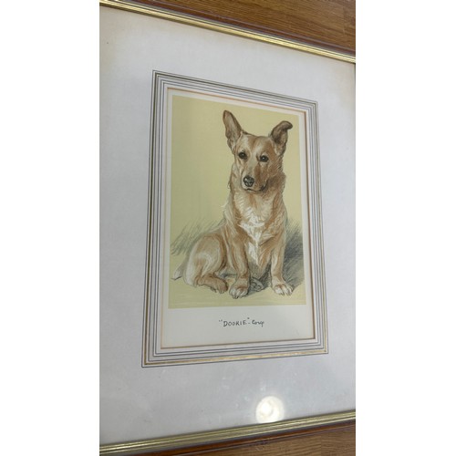 56 - Framed print of a 'Dookie' corgi dog by Lucy Dawson 1939 measures approx 17 inches tall by 13 wide