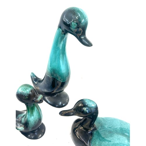 99 - Selection of blue Canadian duck figures