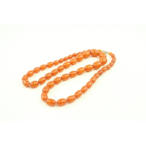 470 - An amber bead necklace (40g)