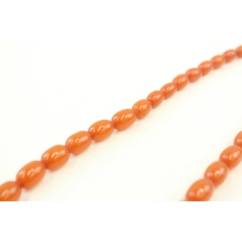 470 - An amber bead necklace (40g)