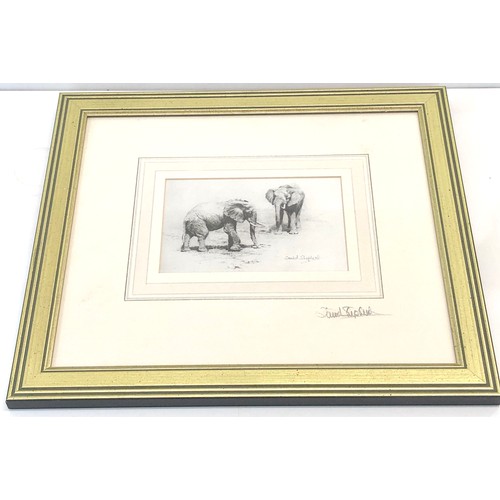 65 - Signed print David Shepherd framed, approximate measurement