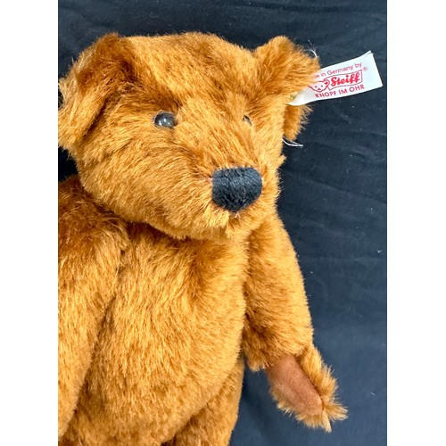 84 - Boxed Steiff The Artist bear 27cm tall