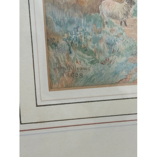 9 - Framed signed original water colour of sheep on the embankment, signed John Williams 1908, frame mea... 