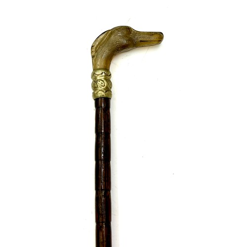 519 - Art Deco ladies walking cane with carved horn dogs head handle (Damage to cane)