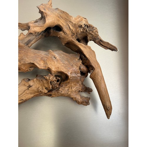 562 - Large piece driftwood art work, approximate measurements:  67 inches in length by Height 20 inches