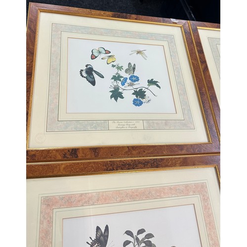 81 - Set of four Reeves natural history museum Chinese water colour prints measures approx 18 inches long... 