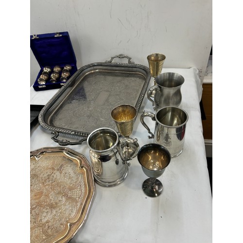 223 - Selection of EPNS includes Tray, Tankards etc