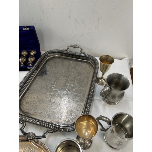 223 - Selection of EPNS includes Tray, Tankards etc