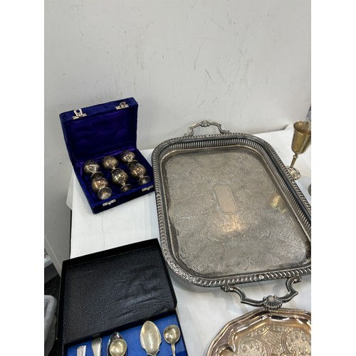 223 - Selection of EPNS includes Tray, Tankards etc