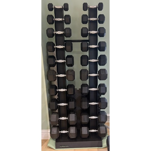 542 - Jordan rubber dumbbell set 2.5kg - 25kg double rack