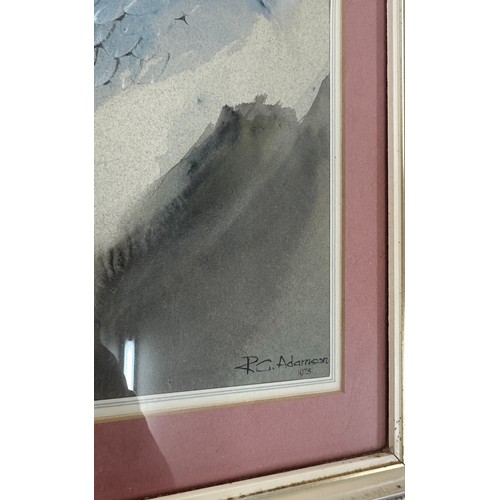 9 - Signed water colour R.G Adamson 1973 measures approximately 16 inches by 13 inches