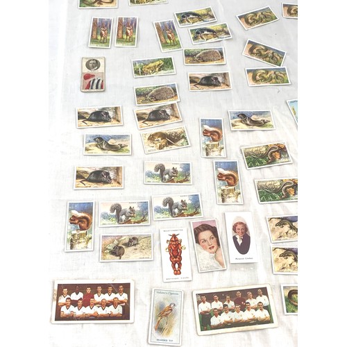 123 - Large collection of cigarette cards, British and Scouts, military, sports, movie stars