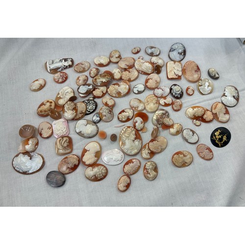 548 - A large collection of cameo shells, various sizes