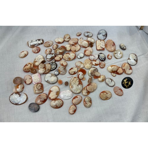 548 - A large collection of cameo shells, various sizes