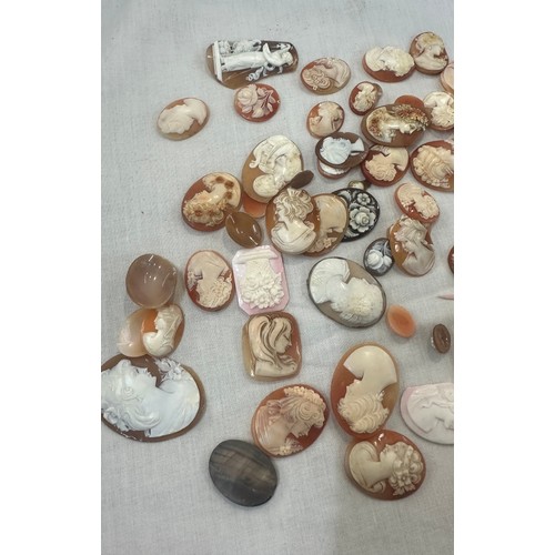 548 - A large collection of cameo shells, various sizes